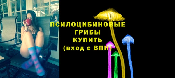 крисы Армянск